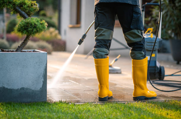 Best Exterior Home Cleaning  in Stafford, TX